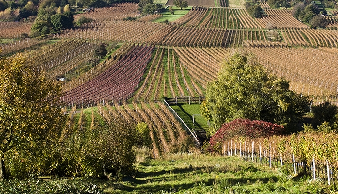 Ce qui change pour les ZNT et chartes riverains sur la campagne phyto 2022