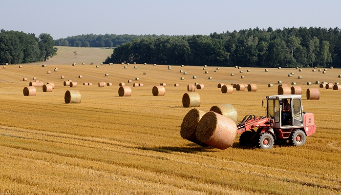 Sécheresse : 3e réunion du comité de suivi de la situation de sécheresse dans le monde agricole